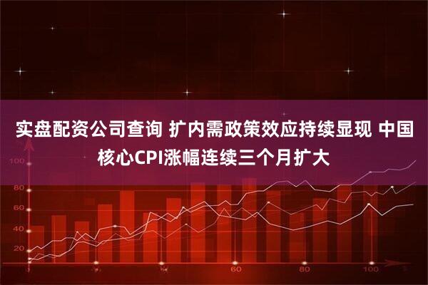 实盘配资公司查询 扩内需政策效应持续显现 中国核心CPI涨幅连续三个月扩大